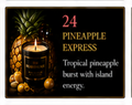 Pineapple Express - 8oz Luxury Coconut Hybrid Candle